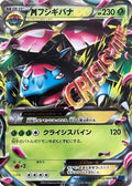 Venusaur (002/060) [JP XYBx Collection X] Unlimited Holofoil