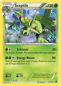 Sceptile 008 [Plasma Freeze]  - Reverse Holofoil